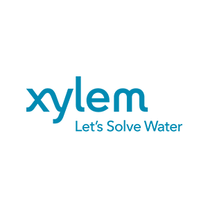 xylem